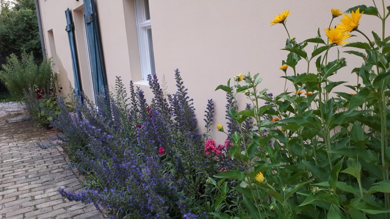 Appartamento Blumenhaus Velten Esterno foto