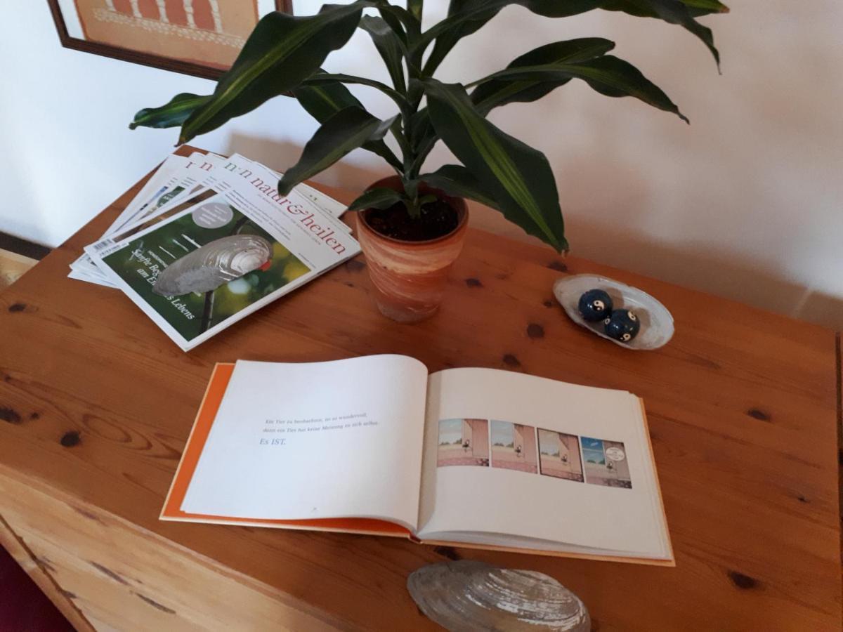 Appartamento Blumenhaus Velten Esterno foto