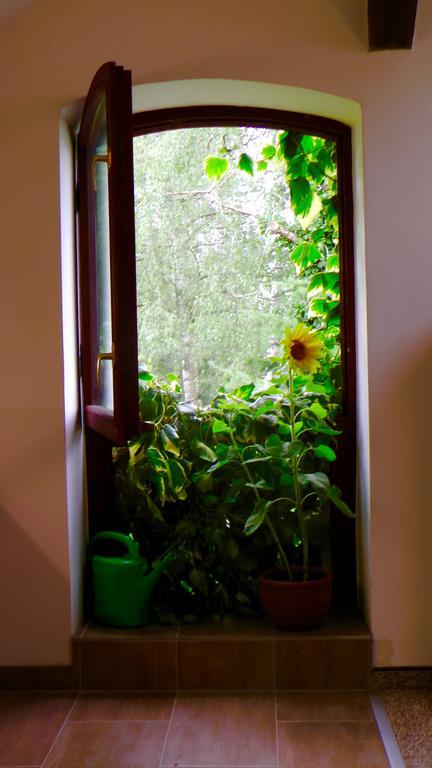 Appartamento Blumenhaus Velten Esterno foto